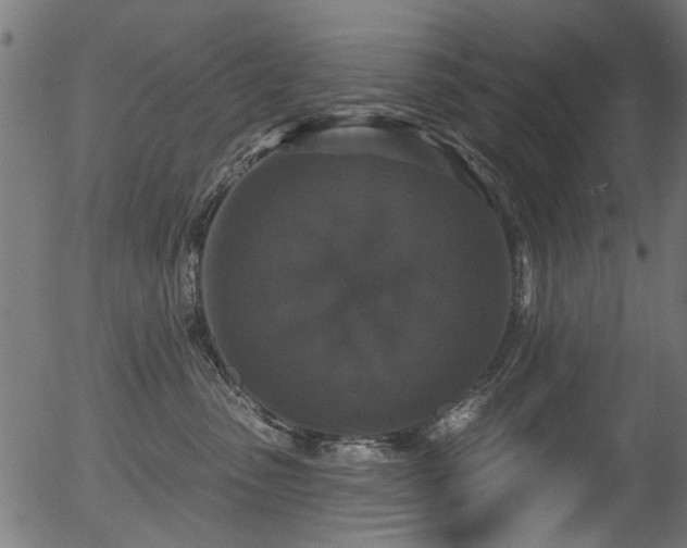 X0000056350475200508291327