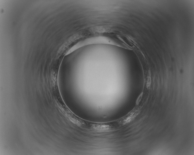 X0000056350476200508291327