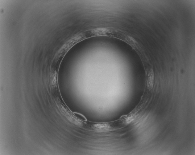 X0000056350477200508291327