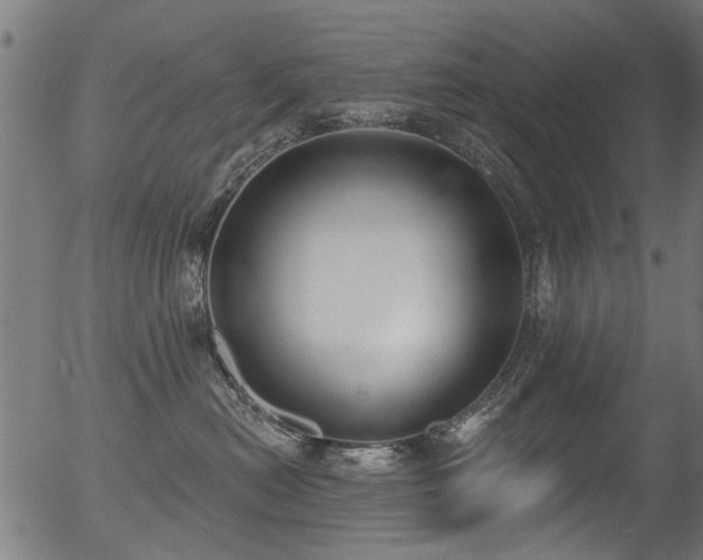 X0000056350478200508291327