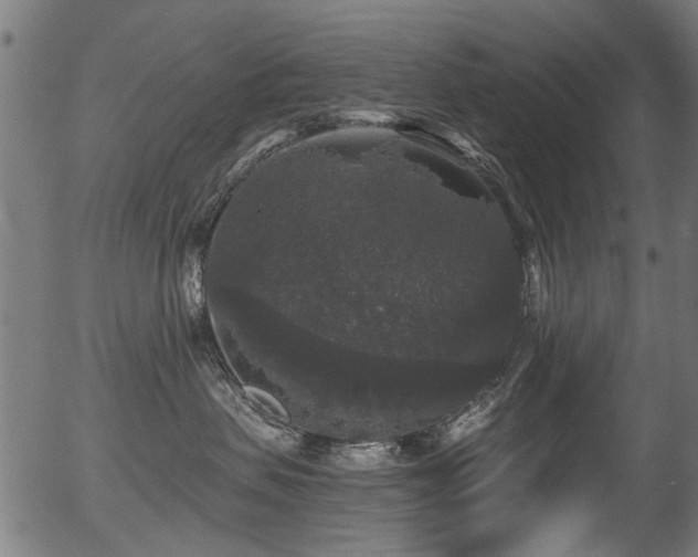 X0000056350479200508291327