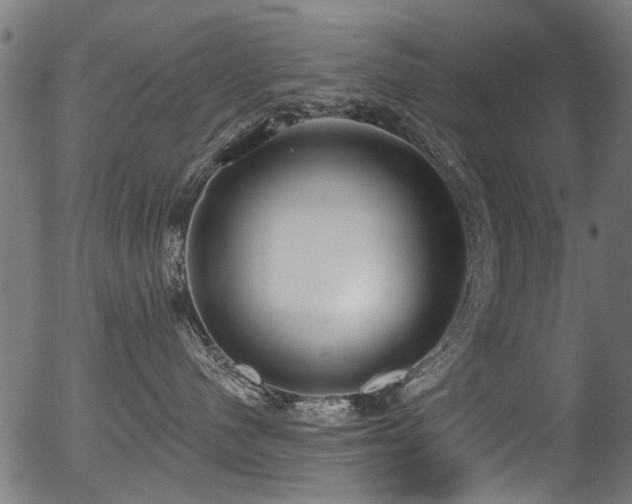 X0000056350480200508291327