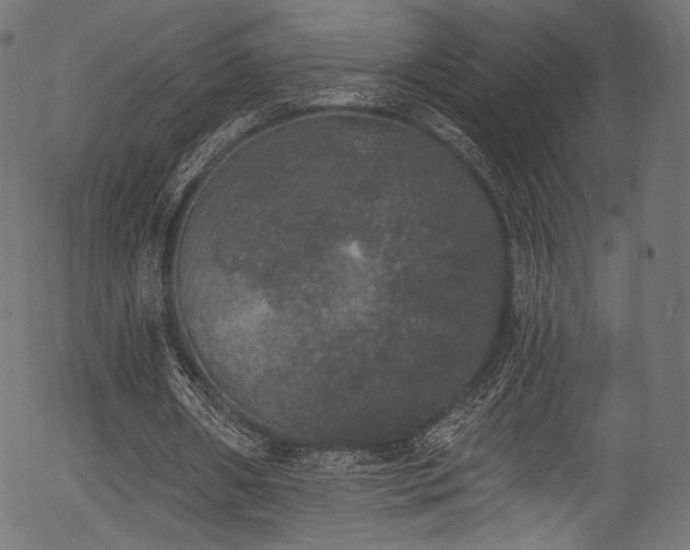 X0000056350482200508291326