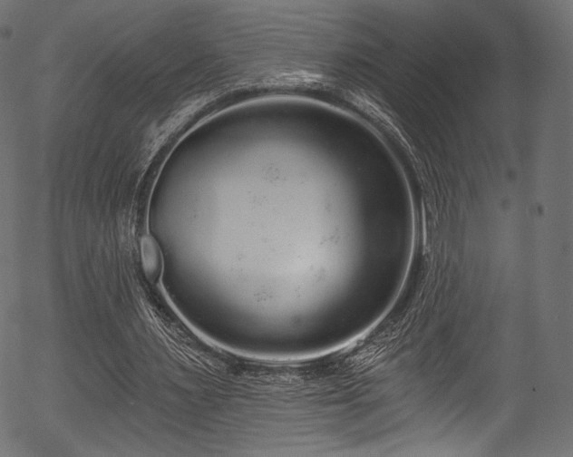 X0000056350483200508291326