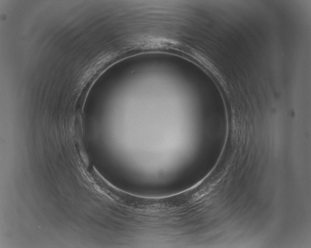 X0000056350485200508291326