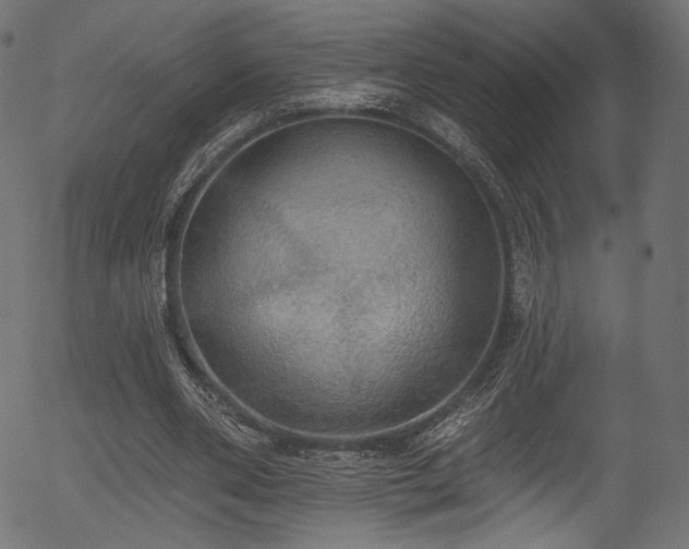X0000056350486200508291326