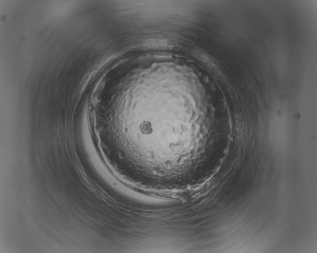 X0000056350487200508291326