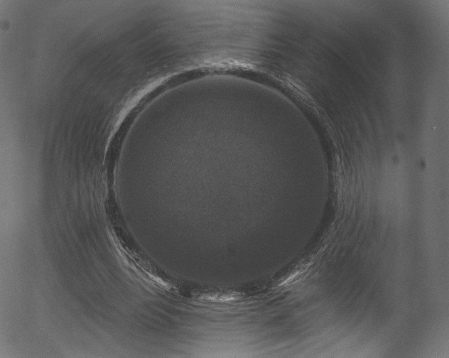 X0000056350488200508291326