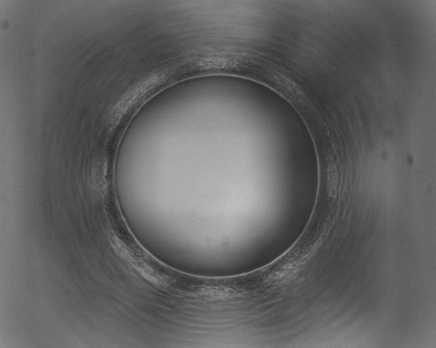 X0000056350490200508291326