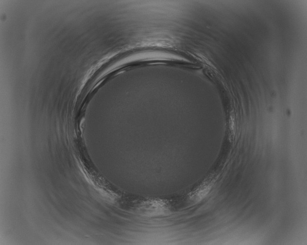 X0000056350492200508291326