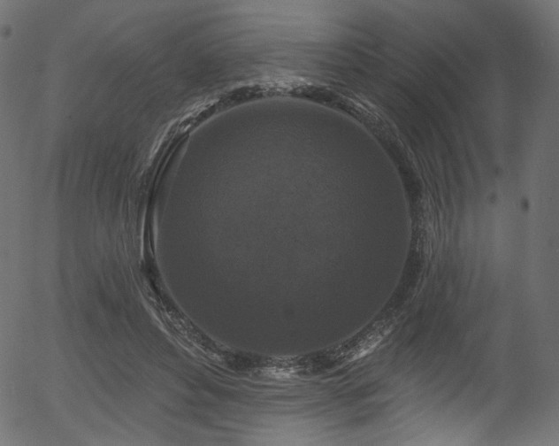 X0000056350496200508291326