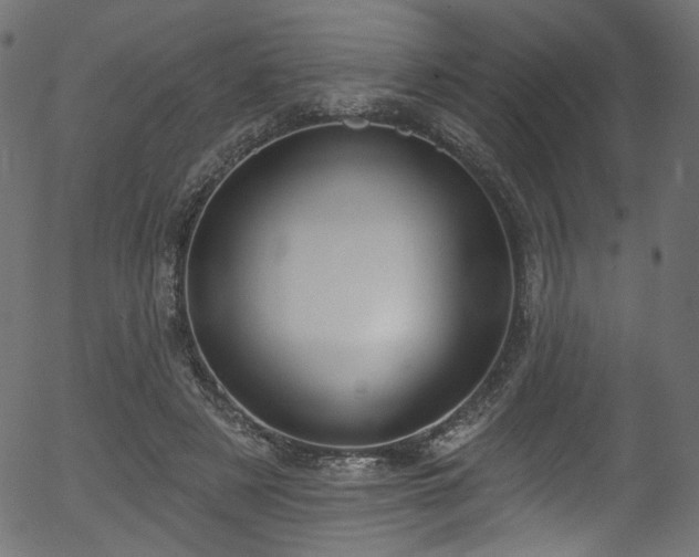 X0000056350497200508291326