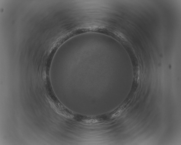 X0000056350500200508291326
