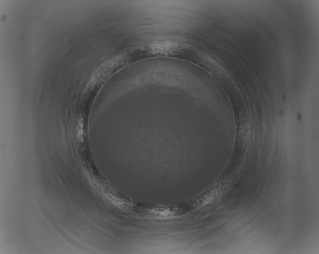 X0000056350502200508291326