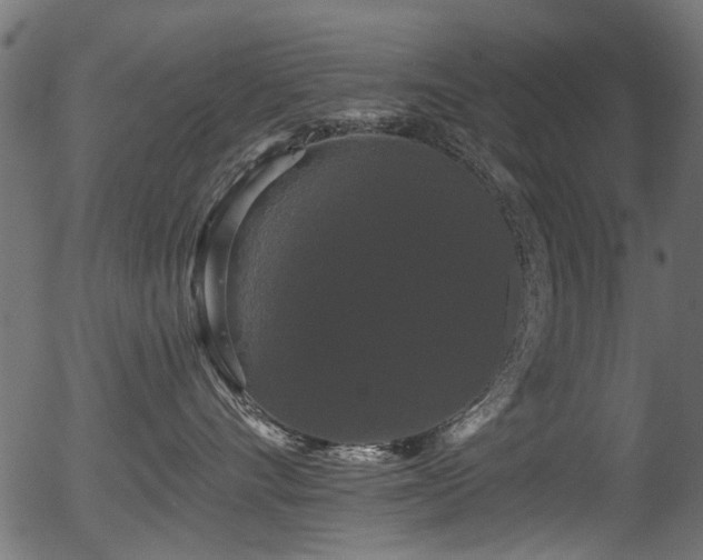 X0000056350528200508291325