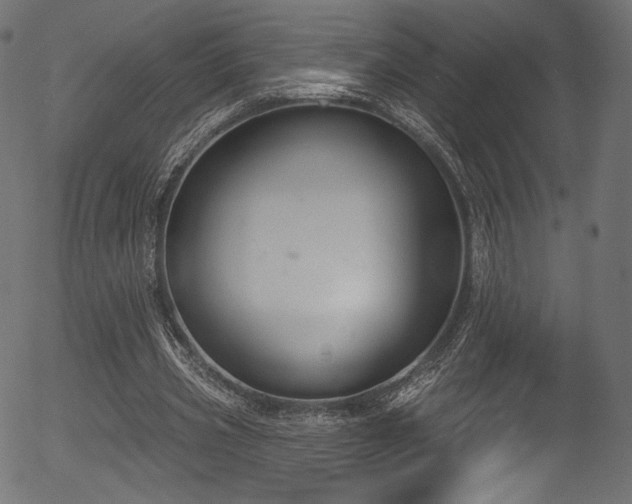 X0000056350533200508291324