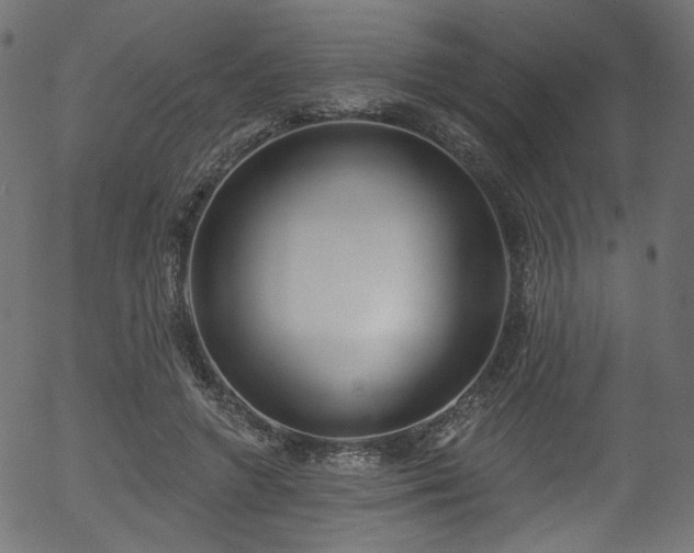 X0000056350546200508291325