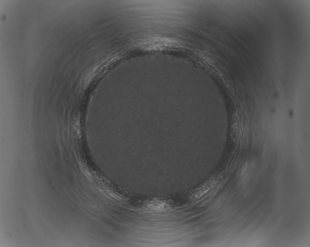 X0000056350547200508291325
