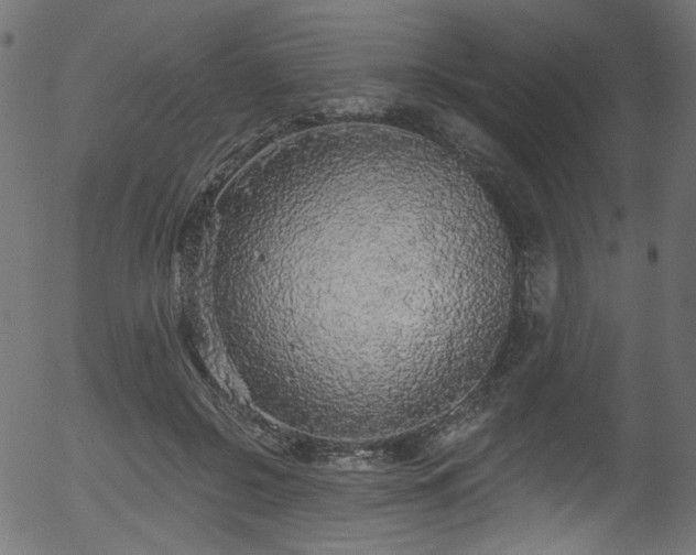 X0000056350550200508291325
