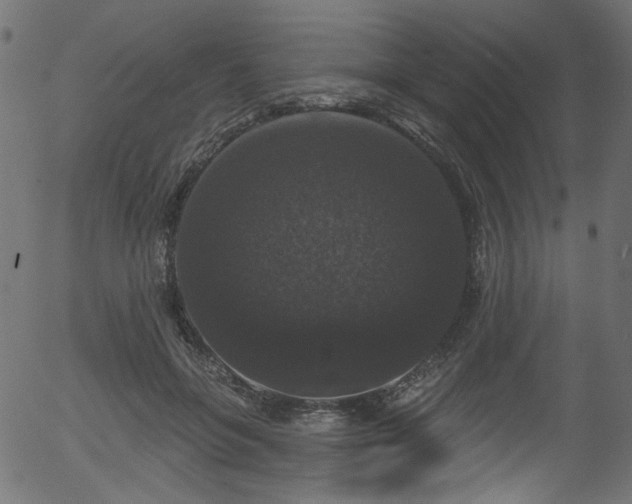 X0000056350551200508291325