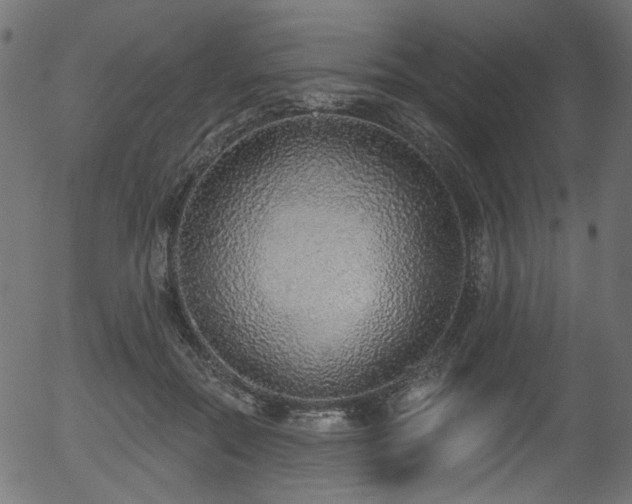 X0000056350554200508291325