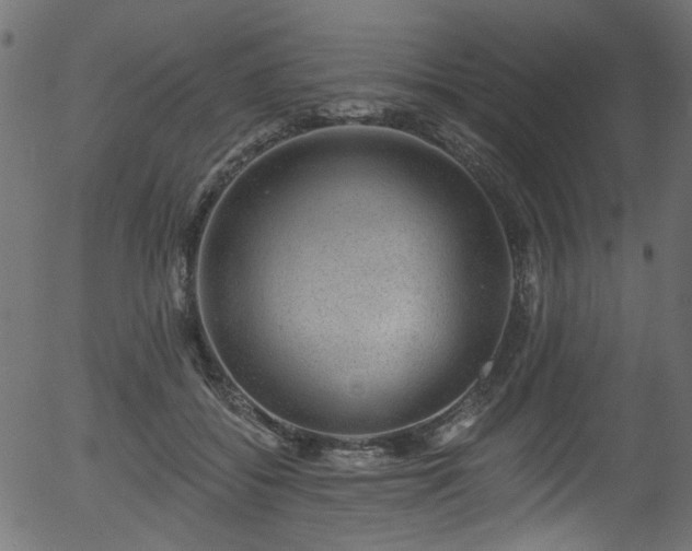 X0000056350556200508291325