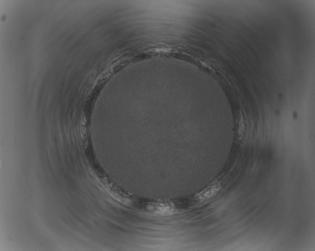 X0000056350559200508291325