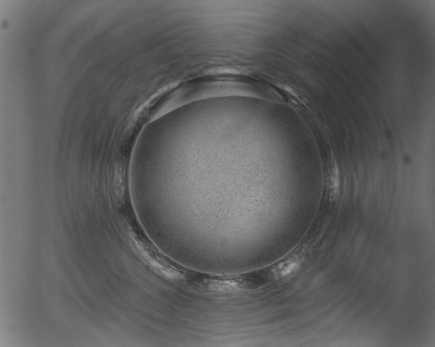 X0000056350572200508291325