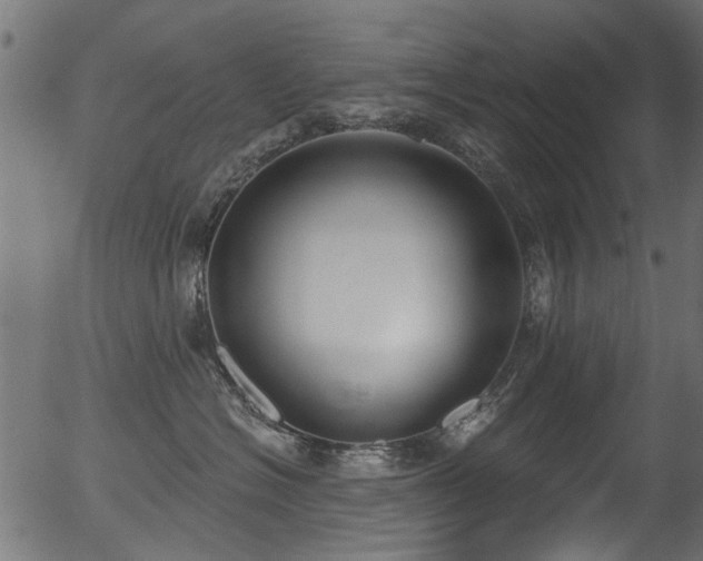 X0000056350574200508291325