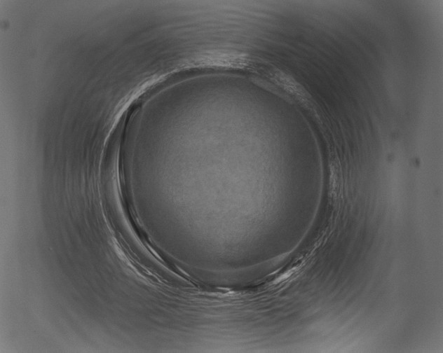 X0000056350580200508291324
