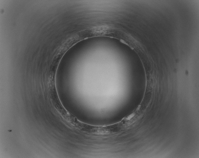 X0000056350601200508291324