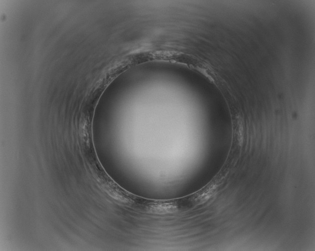 X0000056350619200508291324