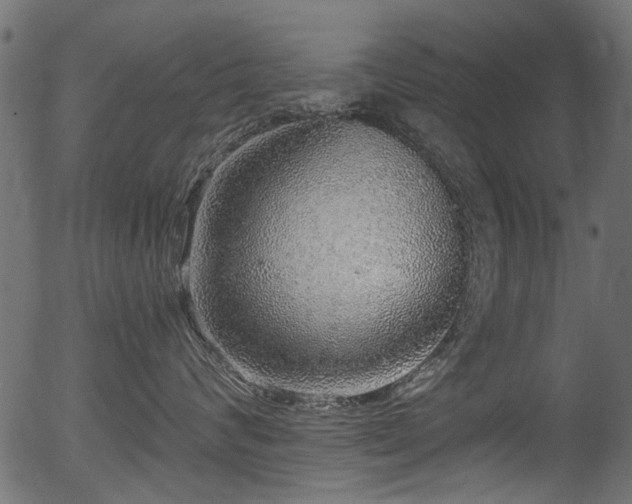 X0000056350624200508291324