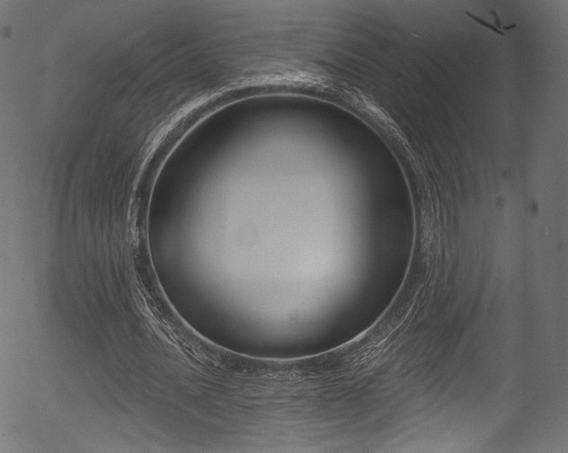 X0000056350628200508291323