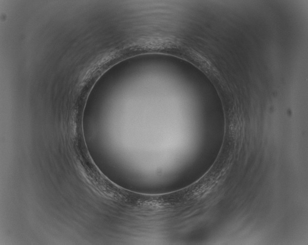 X0000056350635200508291323