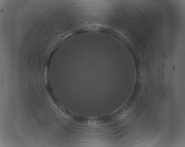 X0000056350641200508291323
