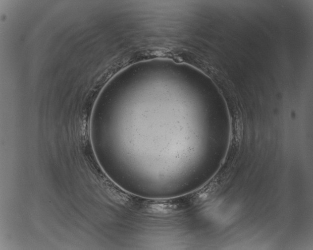 X0000056350657200508291323