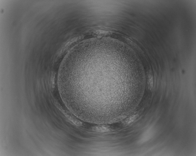 X0000056350668200508291323