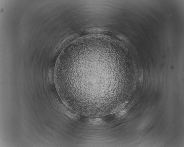 X0000056350669200508291323