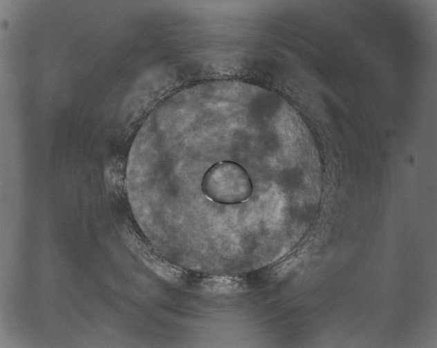 X0000056350672200508291324