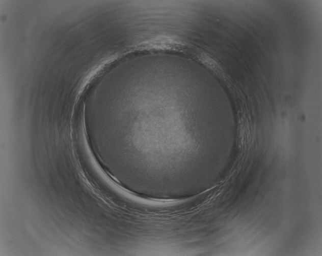 X0000056350680200508291323
