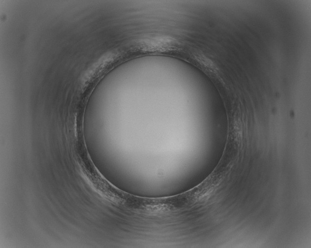 X0000056350686200508291323