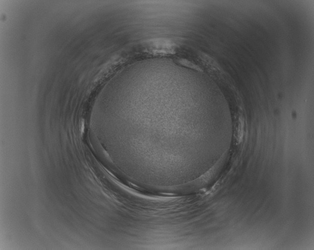 X0000056350704200508291322