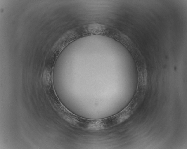 X0000056350705200508291322
