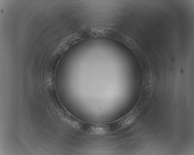 X0000056350706200508291322