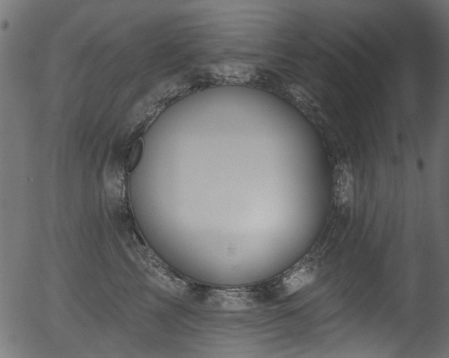 X0000056350713200508291322