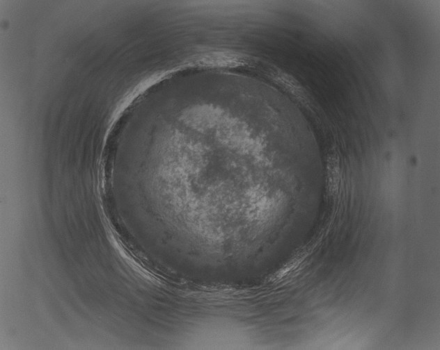 X0000056350726200508291321