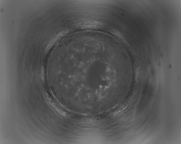 X0000056350729200508291321