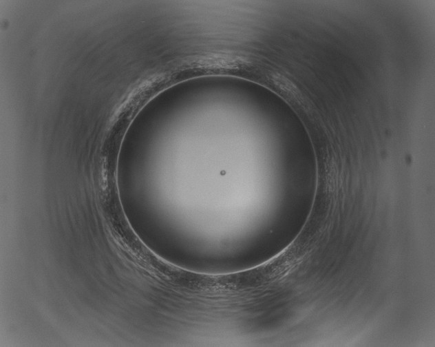 X0000056350731200508291321