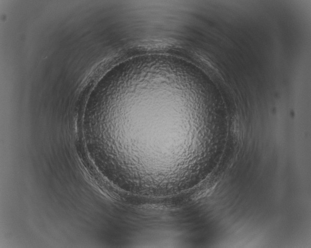 X0000056350733200508291321